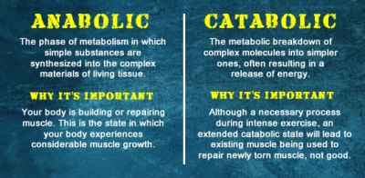 anabolic-vs-catabolic